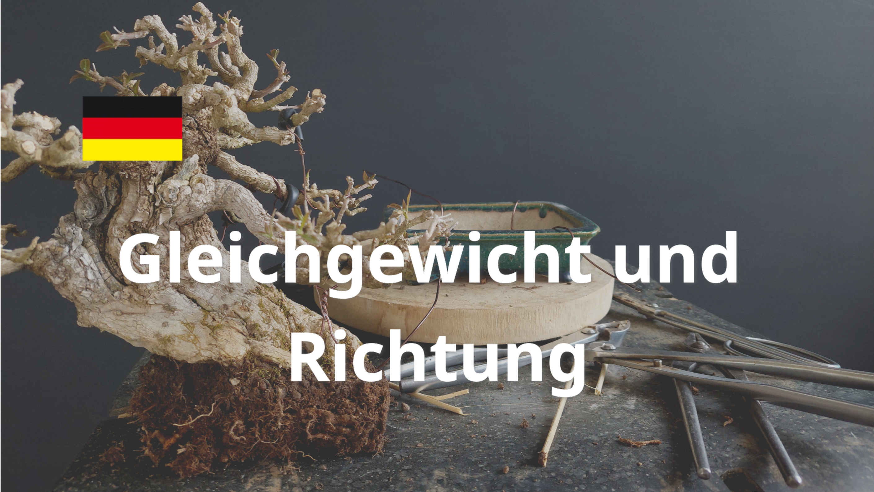 Gleichgewicht und Richtung